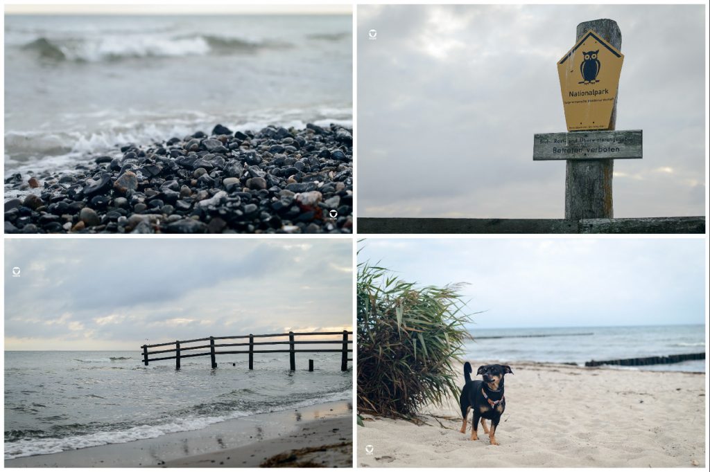 Zingst 2021 - Steine am Strand in Zingst, Nationalparkschild am Strand, Zaun vor der Sperrzone des Nationalparks, Pinscher Buddy am letzten Strandübergang