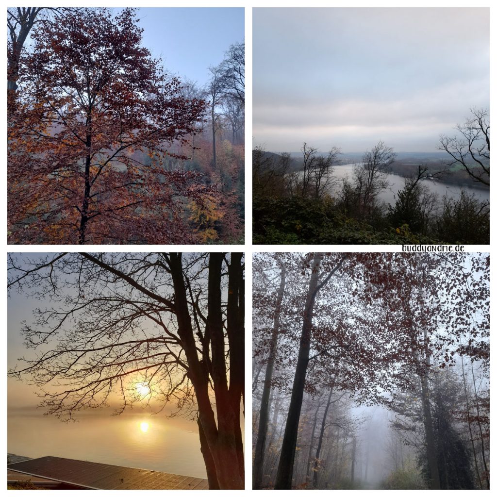 Nevemberwetter vom Feinsten - Blicke auf den Baldeneysee bei Sonne und Nebel, Nebelwald und herbstlich bunte Baumkronen