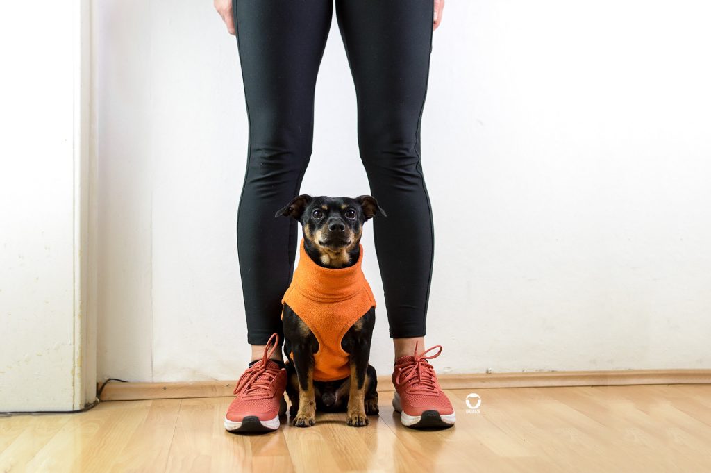 Joggen mit Hund - Mensch-Hund-Team Buddy sitzt zwischen den Füßen samt Laufschuhen von Melody