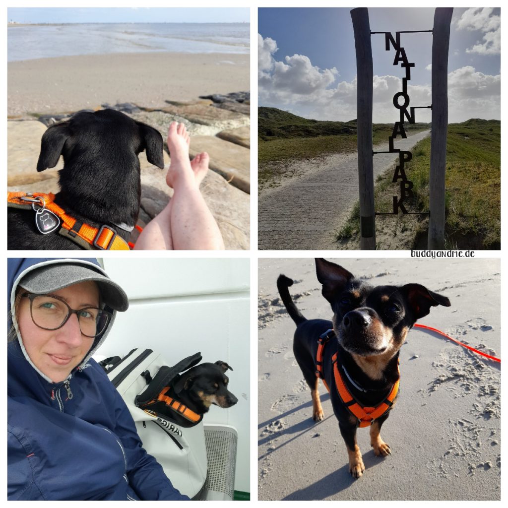 Schnappschüsse Mai 22, Hundeurlaub auf Norderney, gemeinsam am Meer, auf der Fähre und im Nationalpark