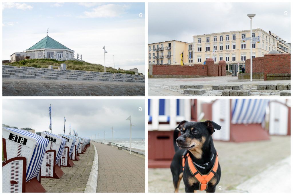 Urlaub mit Hund auf Norderney, die einsame Promenade am Morgen, Blick auf die Bäderarchitektur, Pinscher Buddy vor den typischen blauweißen Strandkörben